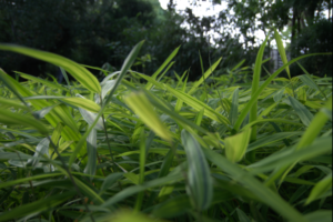 At first I thought that Alex was too soft in person to help me: me being quite a bit older than her, strong and feisty in personality with a lot of living behind me.  But Alex saw right through me.  In her straight forward, but soft spoken and kind way she let me vent, listened attentively and stopped me at the correct moments to force me to make me think about what I just said.  She could sift through all the information and pick up on just that important thing that I needed to hear and to process. She helped me to get rid of resentment, to understand addiction and to surrender to recovery.  She helped me to make the choice to never use again. - Elza